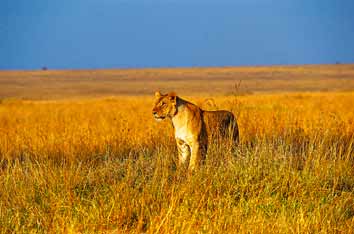 tanzania1