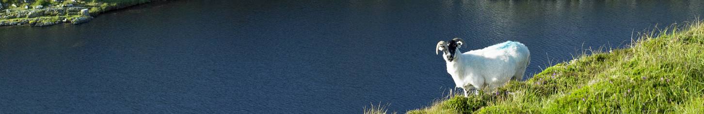 Untitled design (44)
