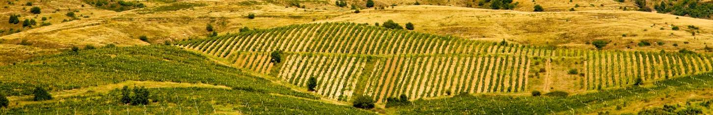 bulgarien_banner_shutterstock_61234492