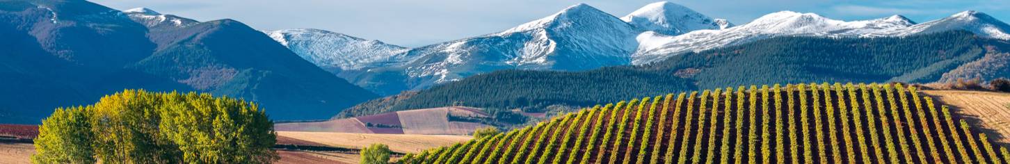 Spanien_Rioja_Banner_shutterstock_1241316571